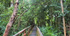 Alvan Ikoku Federal College of Education Owerri 4.8 Km From Hotel