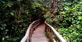 Central Bank of Nigeria Owerri Regional Office 0.5 Km