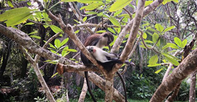 Federal High Court Owerri 0.7 Km