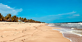 Federal Medical Center 
5.8 Km