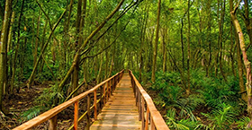 St. Anthony Mary Claret Catholic Parish 
1.5 km