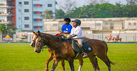 Play Royal Nightclub 
0.9 km