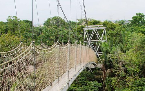 Lekki Conservation Center
0.8 Km From Hotel