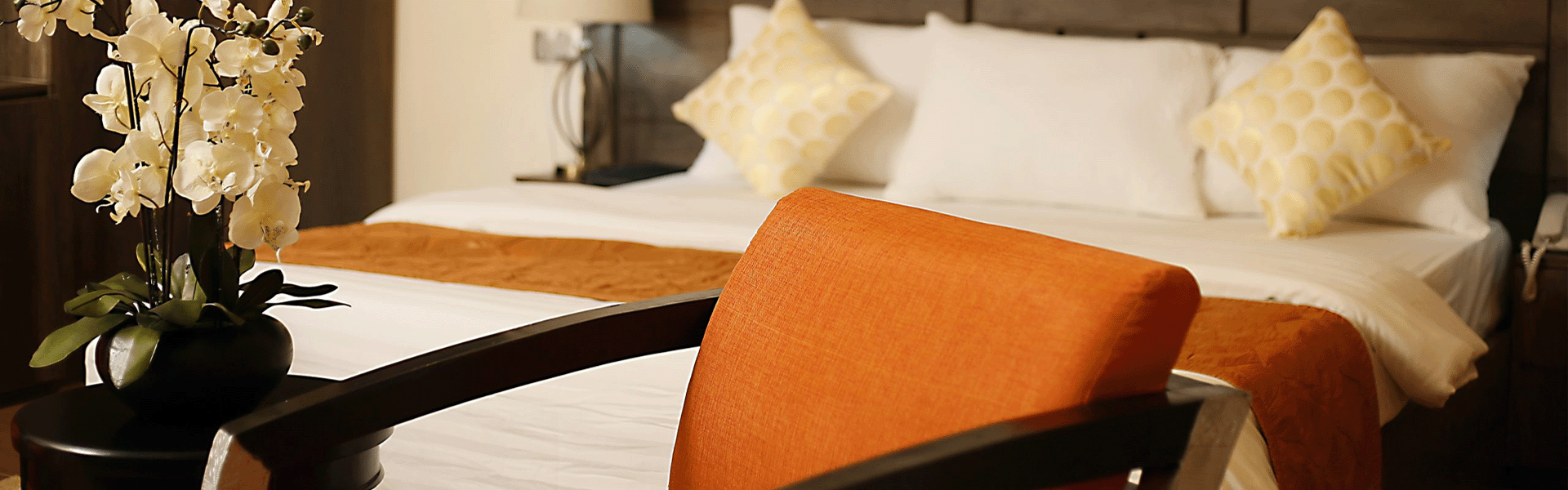 thevistana-lagos_banner10