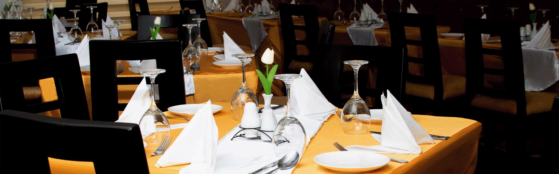 thevistana-lagos_banner12